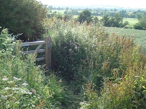 The Steppes Holiday Cottages Hereford Kültér fotó